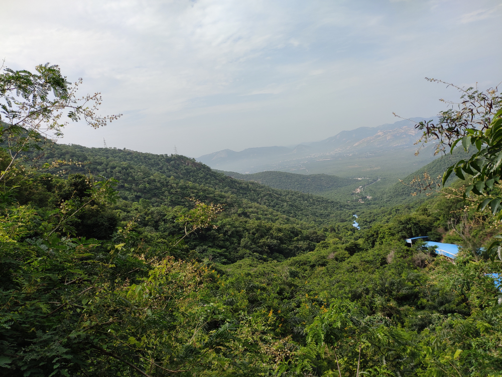 Sri Venkateswara National Park